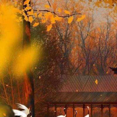 旅日大熊猫“旦旦”追悼仪式举行 中国留学生现场送别